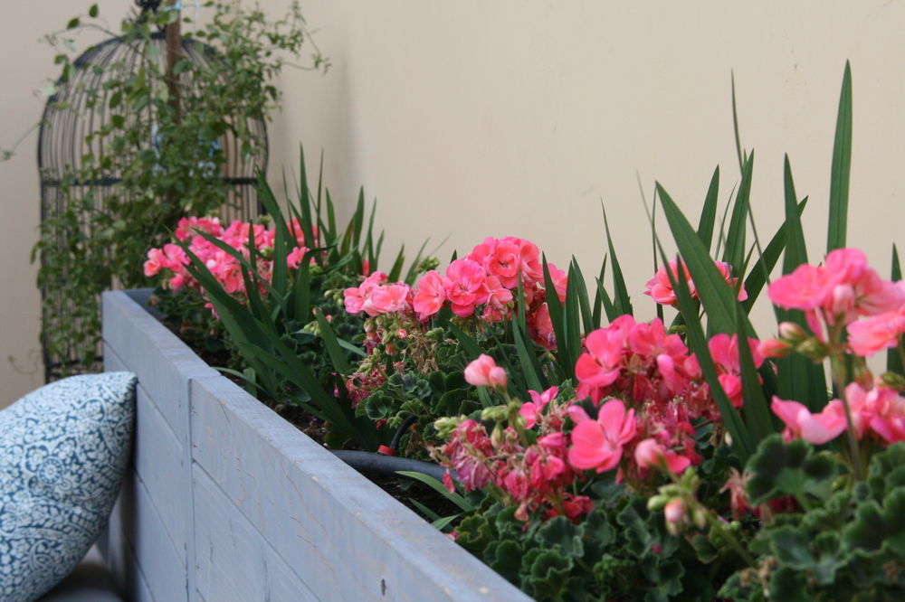 Bespoke Inn Scottsdale Exterior photo
